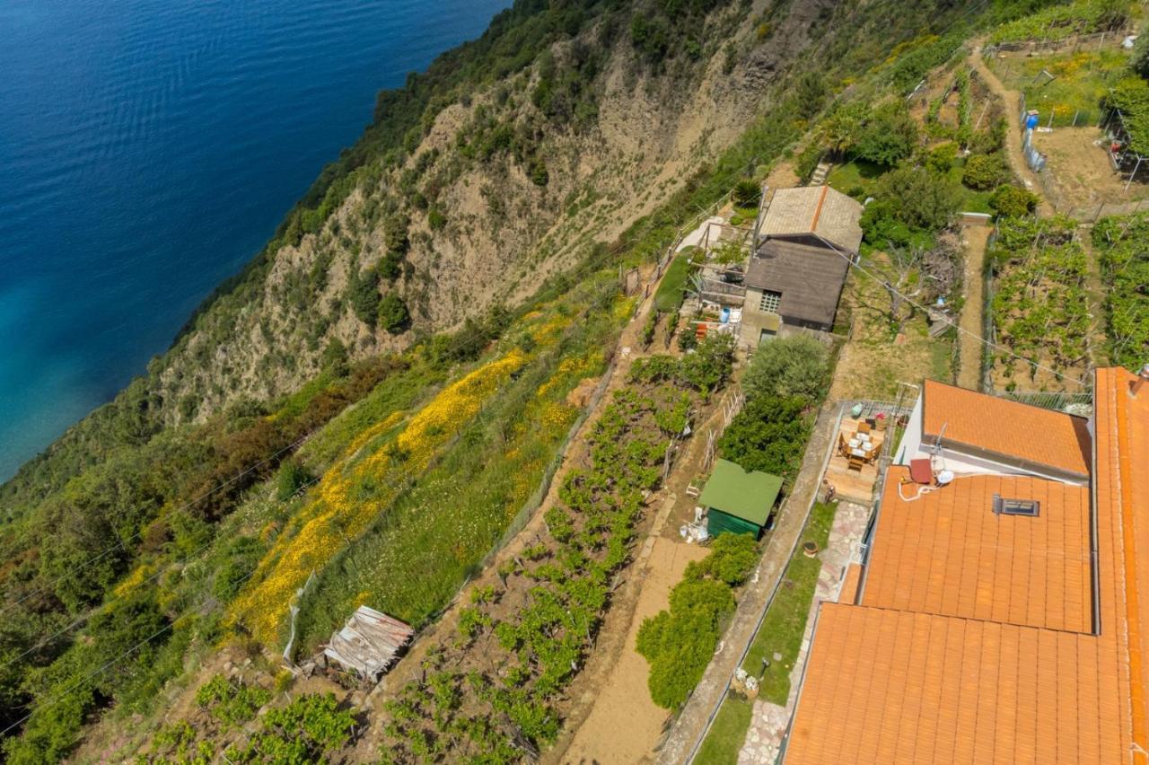 Апартаменты Orizzonte Damare Воластра Экстерьер фото