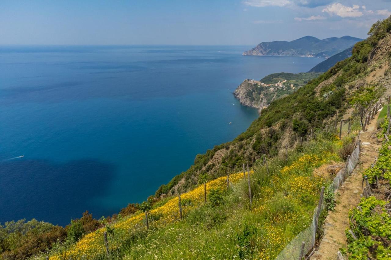 Апартаменты Orizzonte Damare Воластра Экстерьер фото